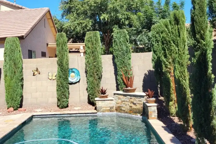 Your Reliable Landscaping Contractor in Chandler, AZ