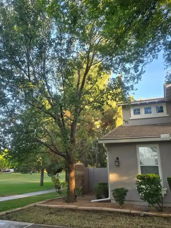 Landscaping Company