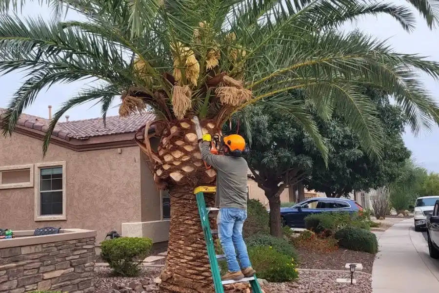 Landscaping Company