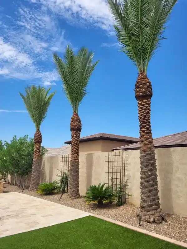 Landscaping Contractor