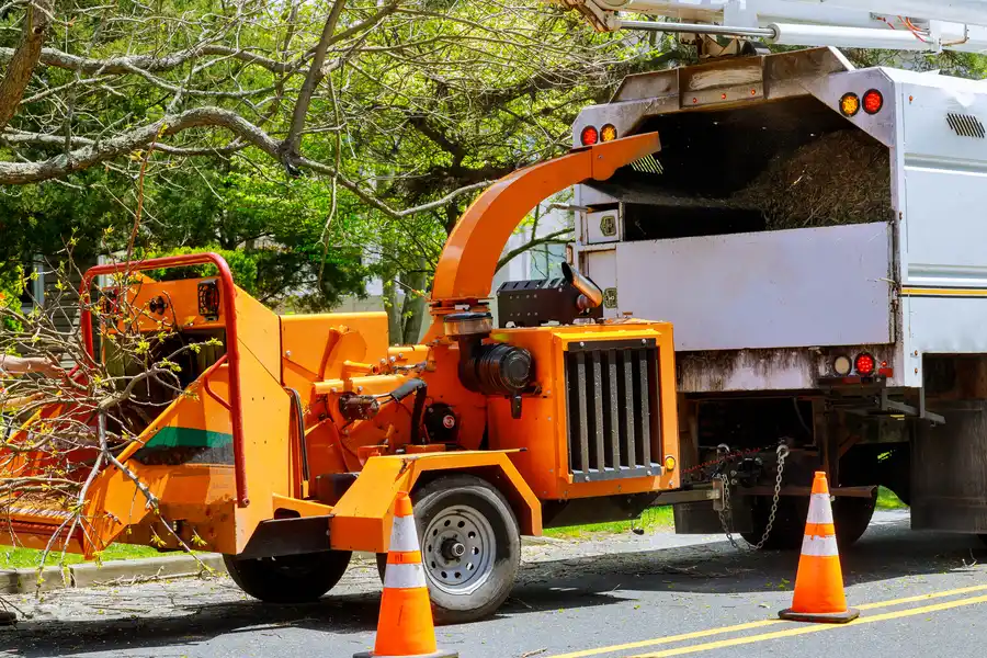 How Storm-damaged Trees Can Impact Your Landscape Chandler, AZ How Storm-damaged Trees Can Impact Your Landscape Chandler, AZ